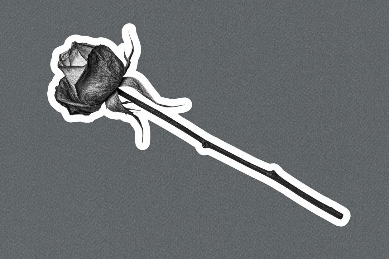 A black-and-white cutout of a single wilted rose on a flat slate-gray background